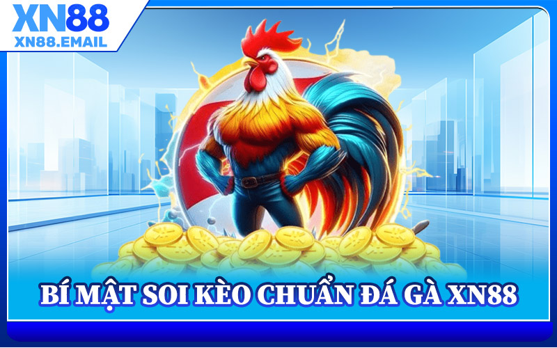Bí Mật Soi Kèo Chuẩn Đá Gà XN88