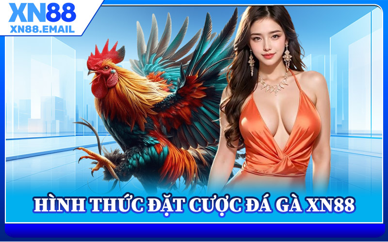 Các Hình Thức Đặt Cược Đá Gà XN88